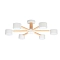 Люстра ARTE LAMP A1624PL-6WH