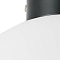 Люстра Lightstar 812037
