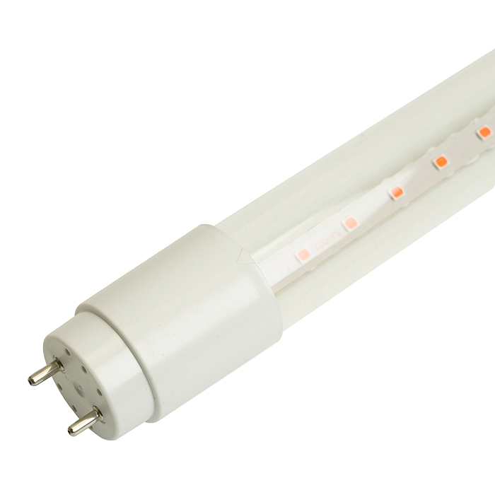 FERON 51662