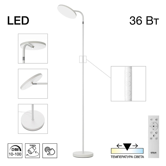 Торшер CITILUX CL804060